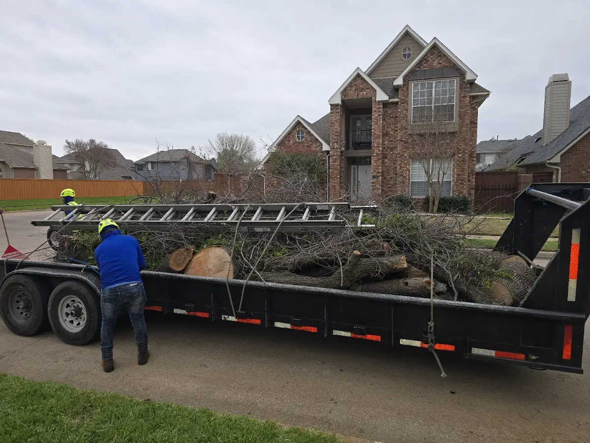 Expert Lot Clearing with proper safety equipment in Levan